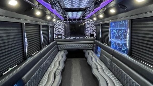 rock hill 20 passenger party bus